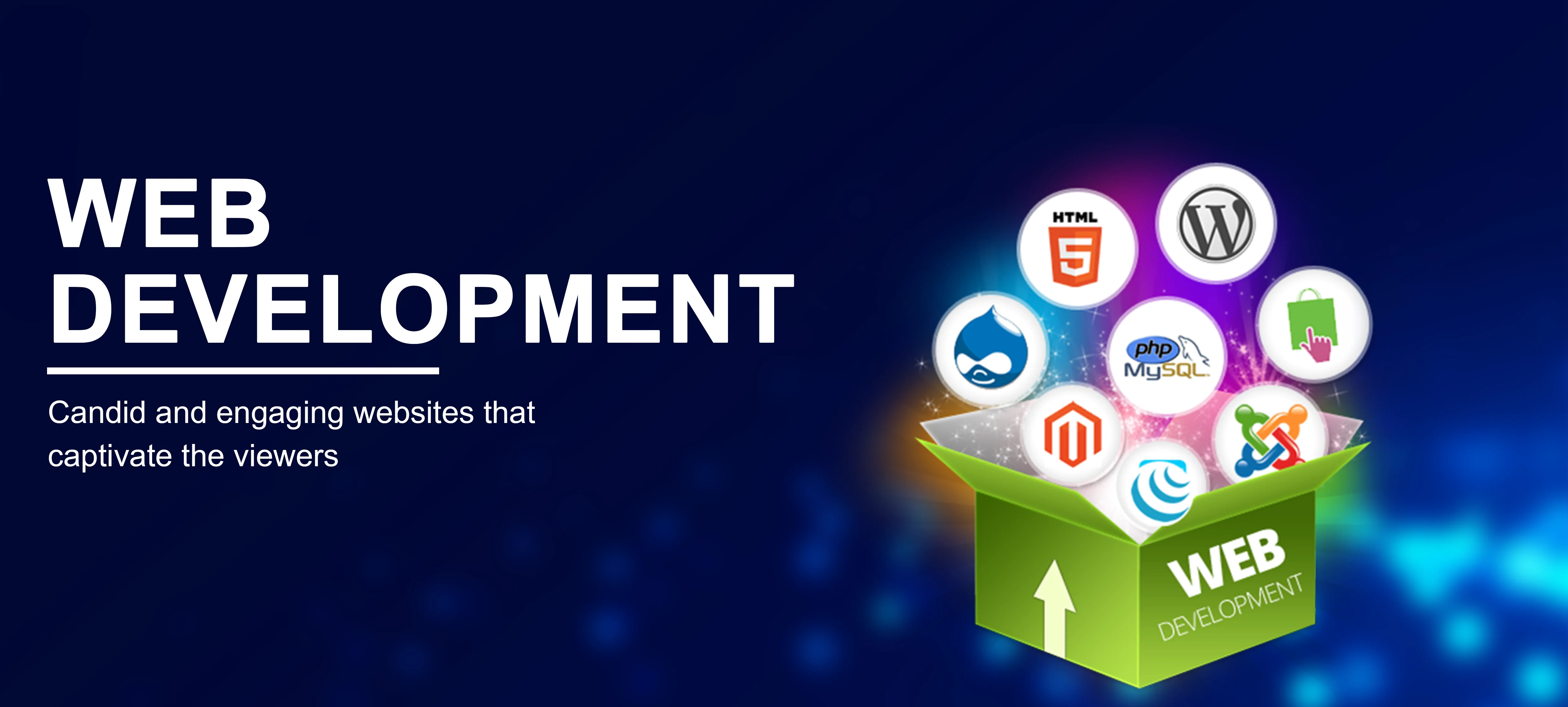 Web Development Company